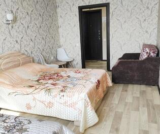 1-комнатная квартира на Владимирской - главная фотография