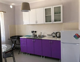 Люкс 2-х комнатный с кухней изображение №2